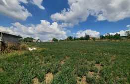 Teren intravilan 7400 mp+ casa din BCA, Rediu-Scanteia