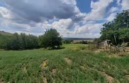 Teren intravilan 7400 mp+ casa din BCA, Rediu-Scanteia