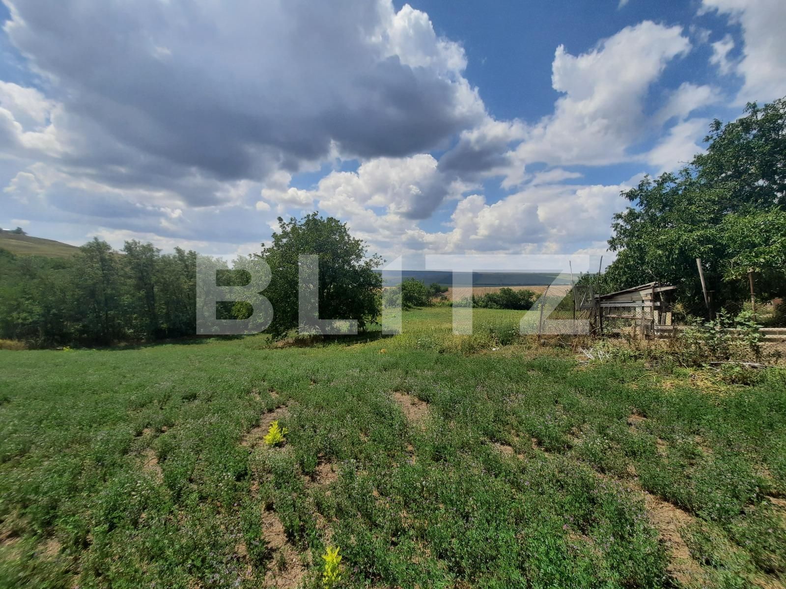 Teren de vânzare Exterior Sud - 93513TV | BLITZ Iași | Poza6