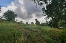 Teren 5000mp, langa padure, Dobrovat