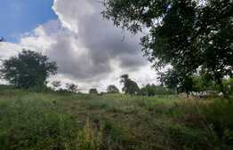 Teren 5000mp, langa padure, Dobrovat