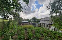 Teren 5000mp, langa padure, Dobrovat