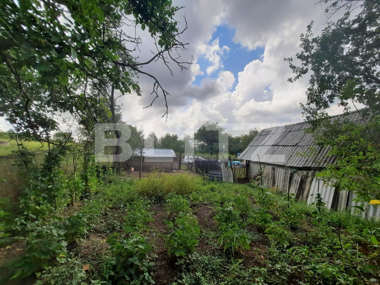 Teren de vânzare Dobrovat - 93570TV | BLITZ Iași | Poza2