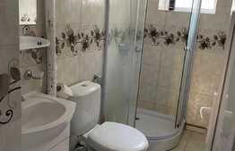 Apartament 2 camere, 50 mp, mobilat/utilat, zona Copou