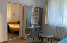 Apartament 2 camere, 50 mp, mobilat/utilat, zona Copou