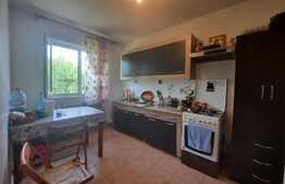 Casa de 3 camere, 68 mp, teren de 500 mp, Ciurea