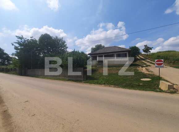 Casa de vânzare 6 camere Hlincea - 93655CV | BLITZ Iași | Poza4