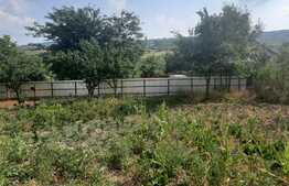 Teren de 762 mp intravilan, sat Goruni