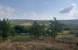 Teren de 762 mp intravilan, sat Goruni