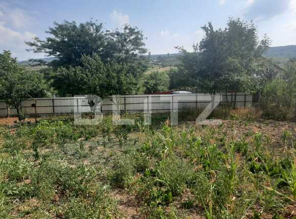 Teren de vânzare Tomesti - 93675TV | BLITZ Iași | Poza1