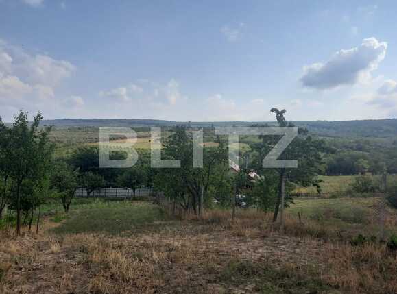 Teren de vânzare Tomesti - 93675TV | BLITZ Iași | Poza3