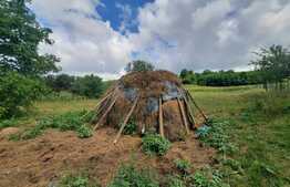 Teren 1850 mp, drum asfaltat, aproape de padure, Dobrovat