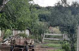 Teren 1850 mp, drum asfaltat, aproape de padure, Dobrovat