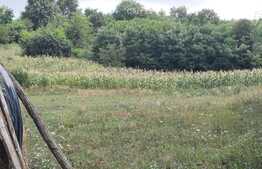 Teren 1850 mp, drum asfaltat, aproape de padure, Dobrovat