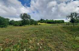 Teren 1850 mp, drum asfaltat, aproape de padure, Dobrovat