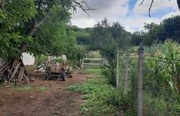 Teren 1850 mp, drum asfaltat, aproape de padure, Dobrovat