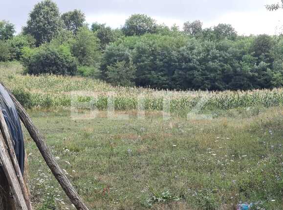 Teren de vânzare Exterior Sud - 93740TV | BLITZ Iași | Poza3