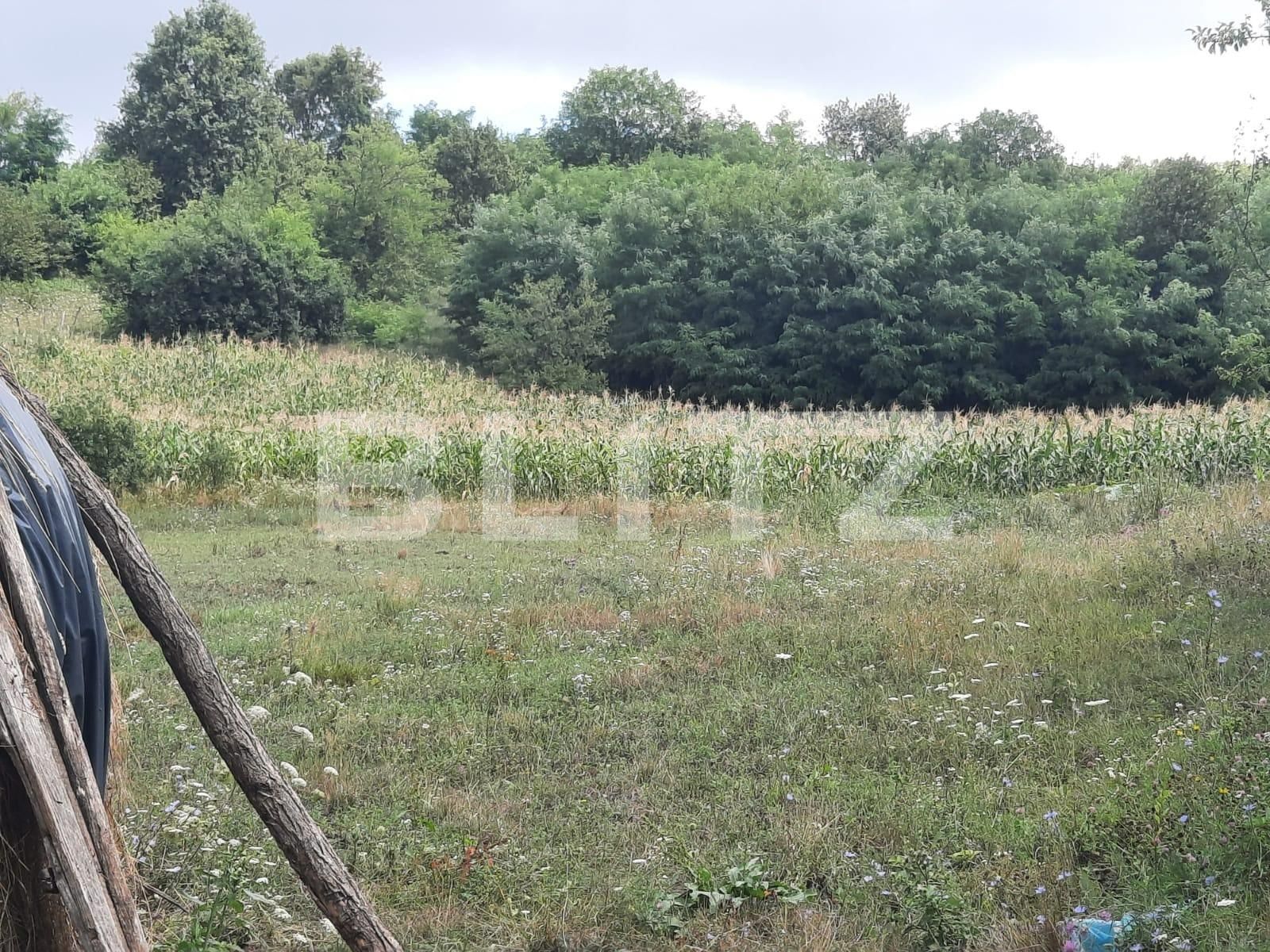 Teren de vânzare Exterior Sud - 93740TV | BLITZ Iași | Poza3