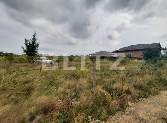 Teren de vânzare Valea Ursului - 93901TV | BLITZ Iași | Poza2