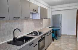 Apartament de 2 camere, lux, 55 mp, bloc nou, zona Tatarasi