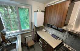 Apartament de 2 camere, 47 mp, decomandat, etaj intermediar, Copou