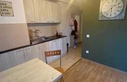 Apartament 2 camere, 34 mp, etaj intermediar, zona Palas