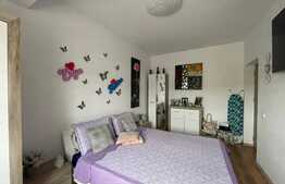 Apartament de 2 camere, 42 mp, zona linistita, Visani