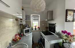 Apartament de 2 camere, 42 mp, zona linistita, Visani