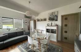 Apartament de 2 camere, 42 mp, zona linistita, Visani