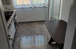 Apartament de 2 camere, lux, 61 mp, prima inchiriere, cartier Copou