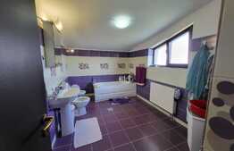 Casa cu garaj D+P+E, 180 mp, 914 mp teren, Barnova