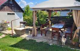 Casa cu garaj D+P+E, 180 mp, 914 mp teren, Barnova