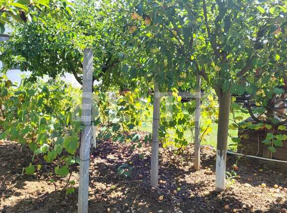 Casa de vânzare 4 camere Barnova  - 94512CV | BLITZ Iași | Poza17