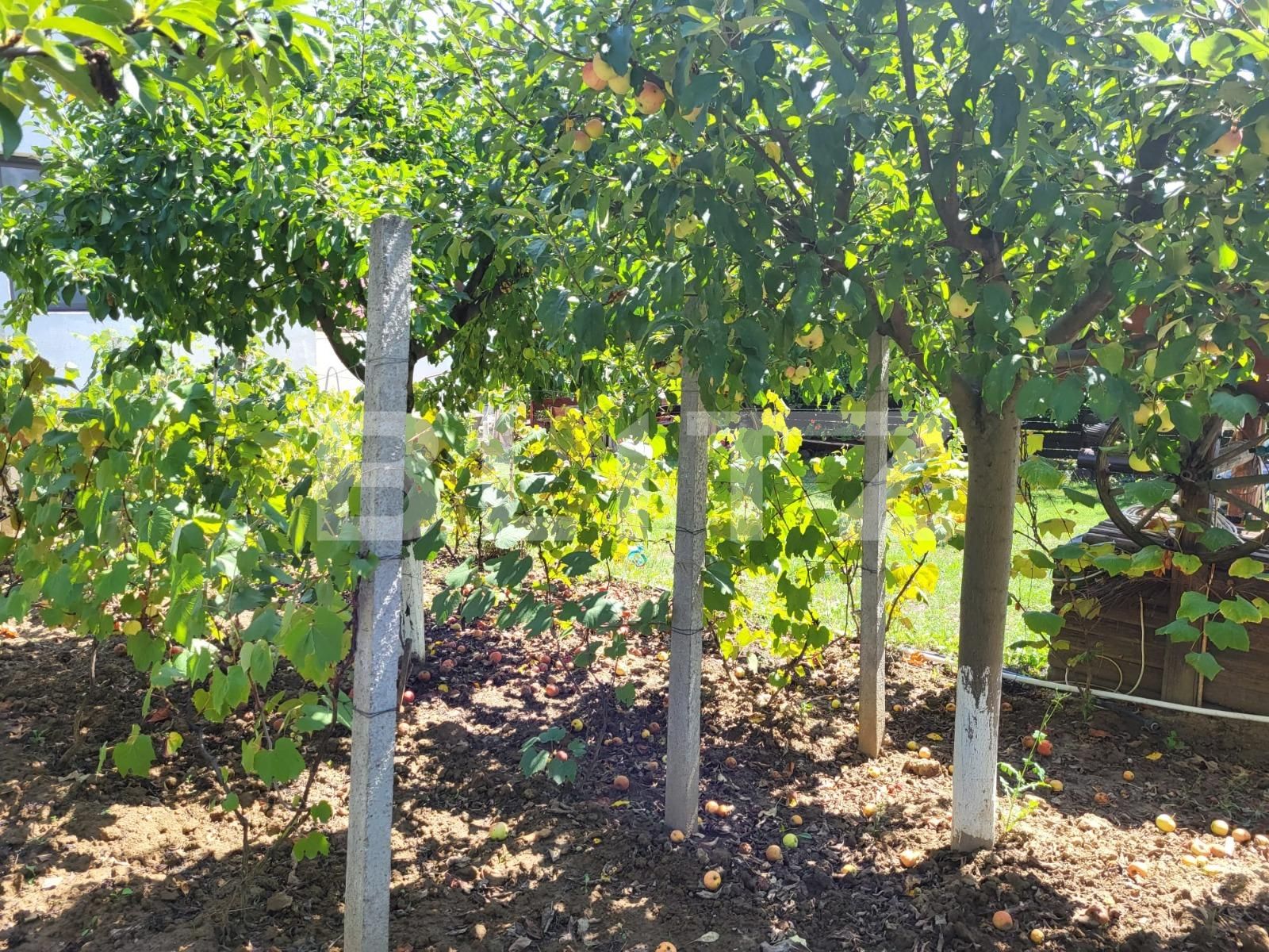 Casa de vânzare 4 camere Barnova  - 94512CV | BLITZ Iași | Poza17