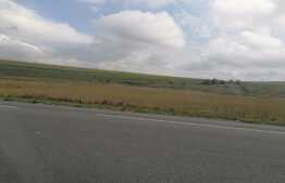 Teren 20.000 mp, deschidere la DE 58, Letcani