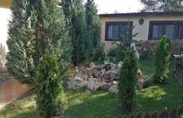 Casa 5 camere, terasa, anexe, Birnova