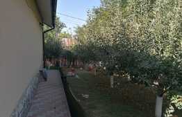 Casa 5 camere, terasa, anexe, Birnova