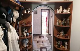 Casa 5 camere, terasa, anexe, Birnova