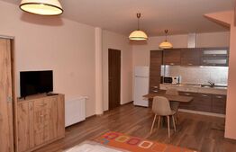 Apartament de 4 camere, 200mp, zona Copou