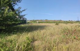 Teren intravilan, 754 mp,  Bucium