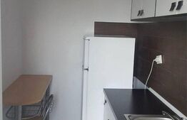 Garsoniera de 25 mp, zona Centrala