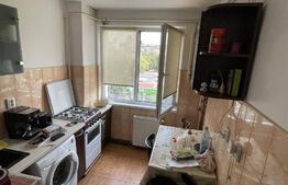 Apartament de 2 camere, 41 mp, zona Alexandru cel Bun