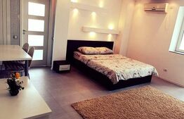 Garsoniera spatioasa, 43 mp, zona Pacurari