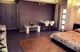 Garsoniera spatioasa, 43 mp, zona Pacurari