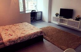 Garsoniera spatioasa, 43 mp, zona Pacurari