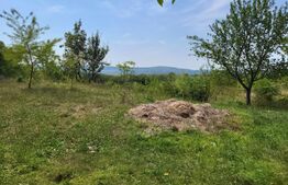 Teren intravilan, 2.632 mp, in Ciurea