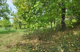 Teren intravilan, 2.632 mp, in Ciurea