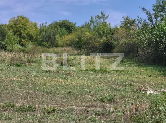 Casa de vânzare 1 camera Ciurea - 95248CV | BLITZ Iași | Poza5