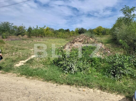 Casa de vânzare 1 camera Ciurea - 95248CV | BLITZ Iași | Poza6