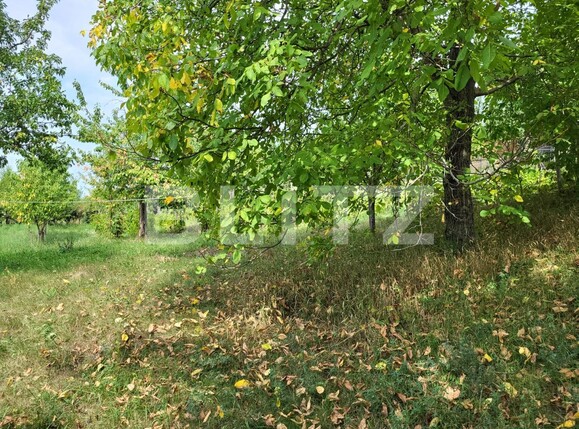 Casa de vânzare 1 camera Ciurea - 95248CV | BLITZ Iași | Poza3